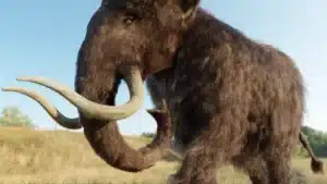 Choquant : En voulant ramener des mammouths à la vie, des scientifiques font naître une créature étrange