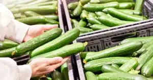 Les concombres qui viennent de ce pays sont bourrés de pesticides (et il ne s’agit pas de l’Espagne !)