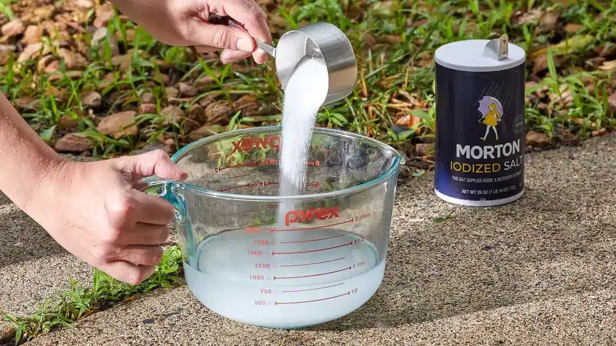 Ma recette pour fabriquer un désherbant très (trop) puissant avec du sel, hyper économique et naturel